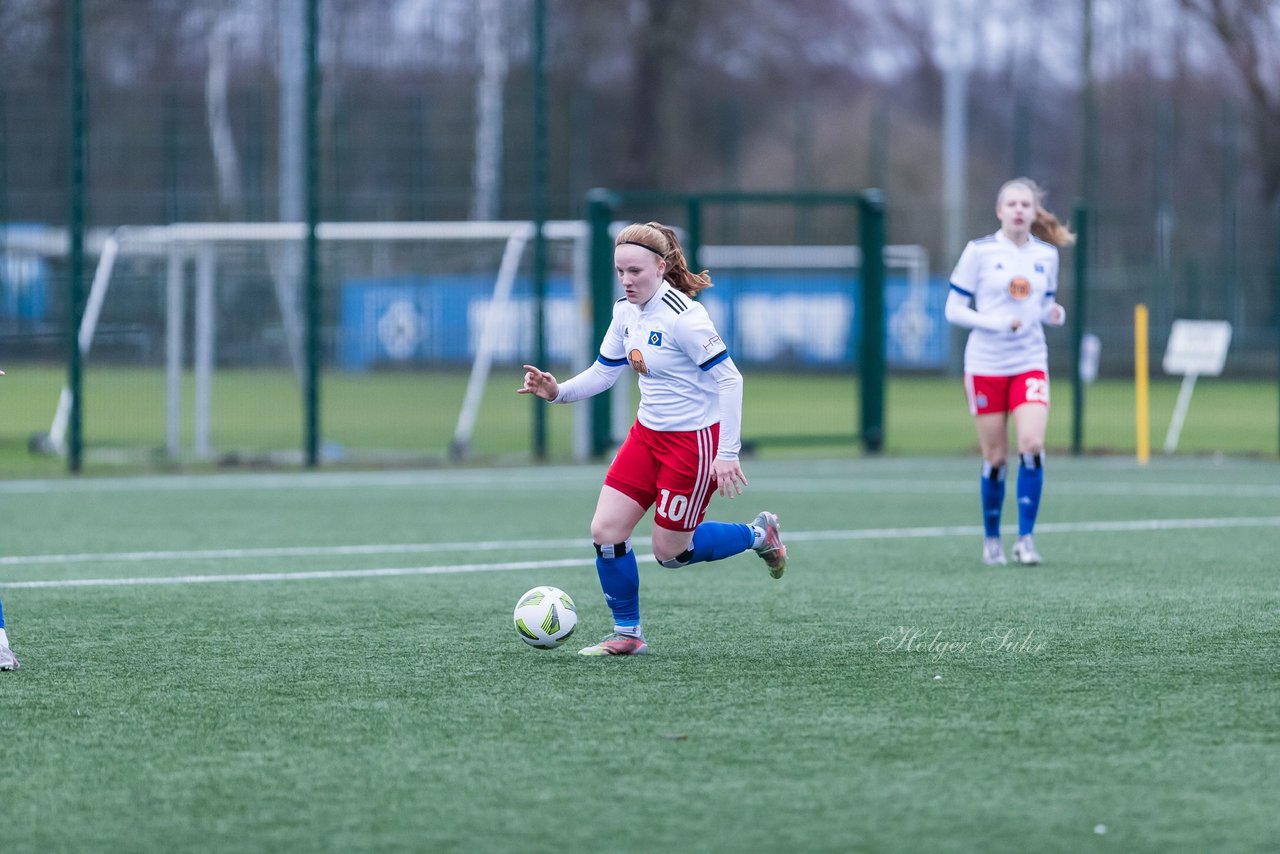 Bild 116 - wBJ HSV - F VfL Jesteburg : Ergebnis: 6:1